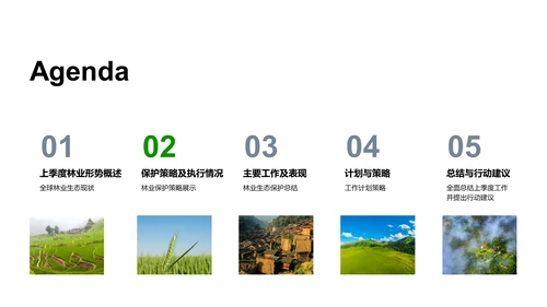 农产品季度市场总结PPT模板