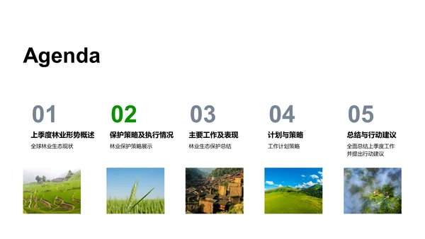 农产品季度市场总结PPT模板