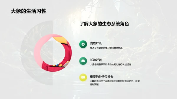探秘动物世界