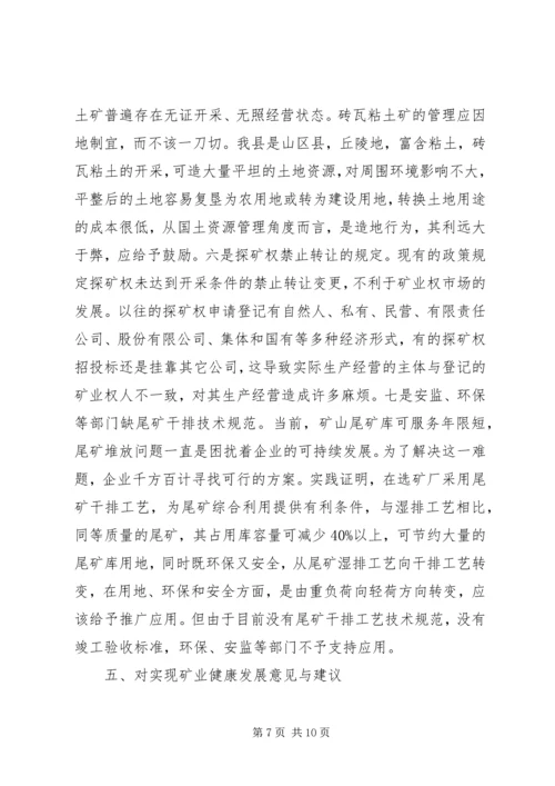 国土资源局关于县矿情调研报告.docx