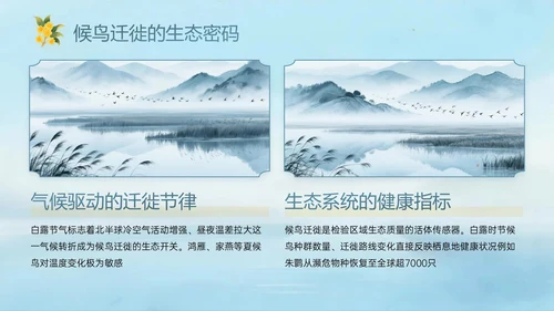 蓝绿黄色中国风白露节气PPT模板