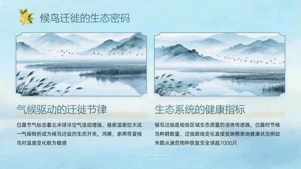蓝绿黄色中国风白露节气PPT模板