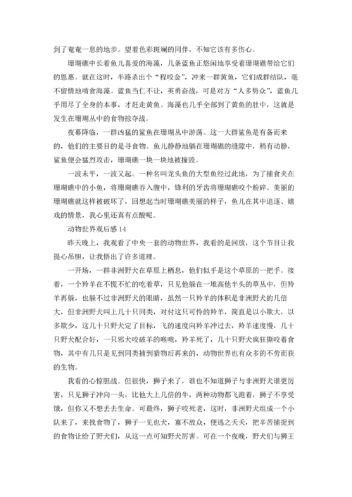 动物世界观后感15篇.docx