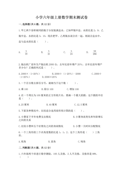小学六年级上册数学期末测试卷带答案（精练）.docx