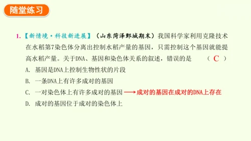 7.2.2基因在亲子代间的传递-八年级生物人教版下学期同步精品课件(共24张PPT)