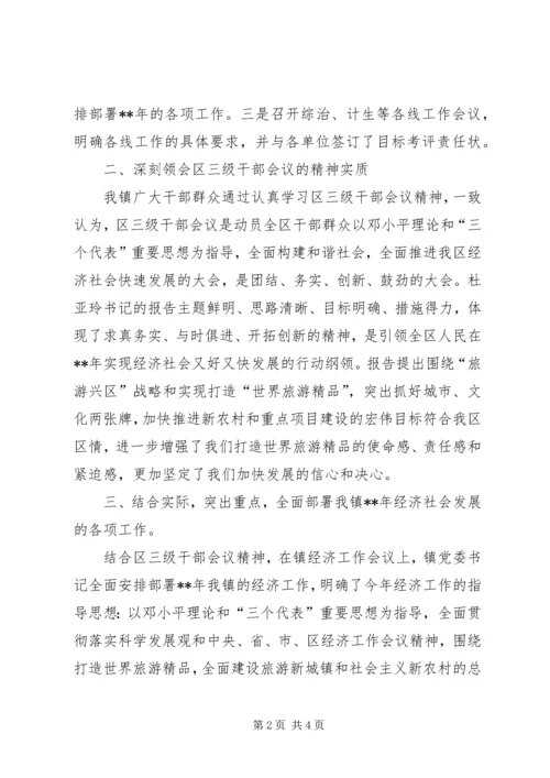 乡镇贯彻落实区三级干部会议精神情况汇报6.docx