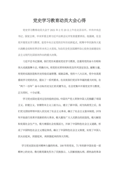 党史学习教育动员大会心得word模板