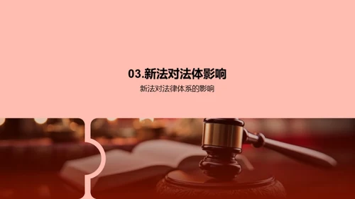 全面剖析新法规