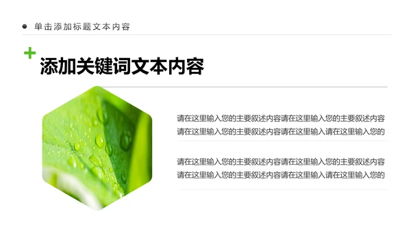 绿色清新植物生长敬畏生命成长励志PPT模板