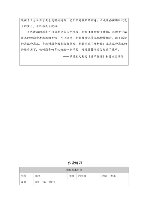 5 琥珀第1课时 教案