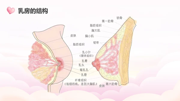 高级催乳师培训母婴类PPT模板