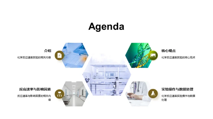 化学反应速率的掌控