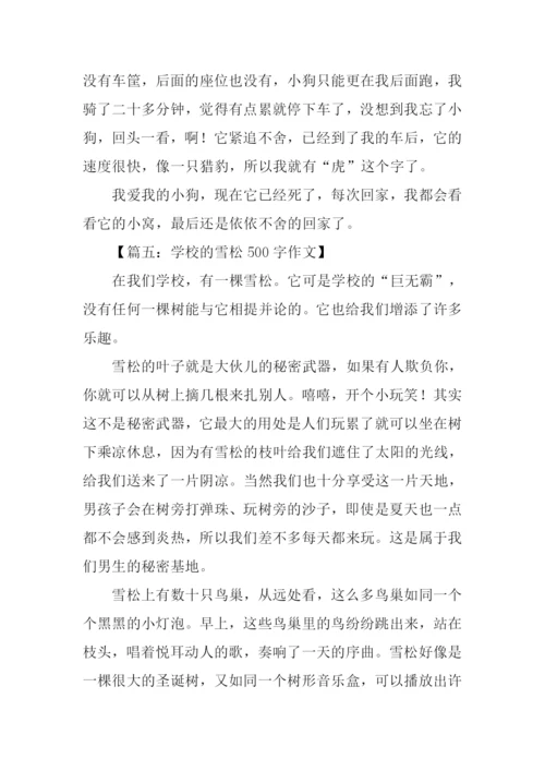 写物的作文500字.docx
