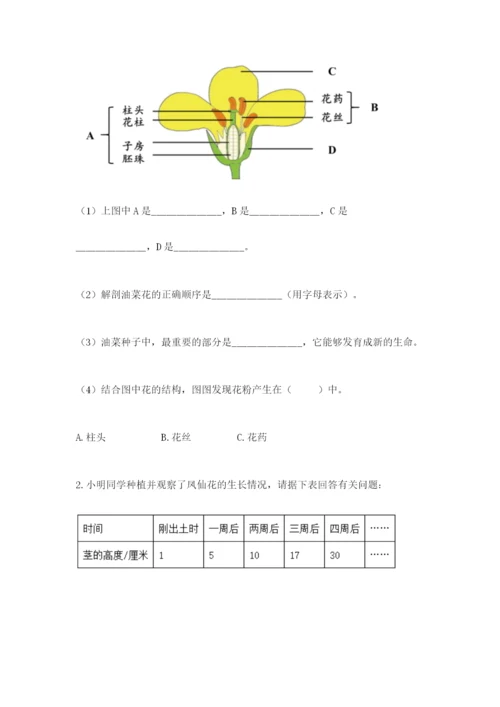 教科版科学四年级下册第一单元《植物的生长变化》测试卷精品（实用）.docx