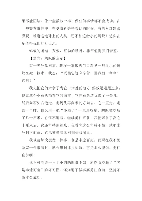 蚂蚁的启示作文-6.docx