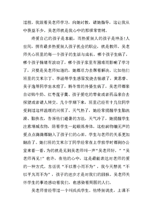 师德演讲稿例文：我心中的常青树