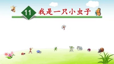 《11.我是一只小虫子》第一课时 课件