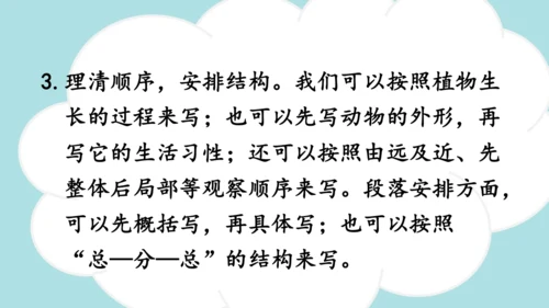 -统编版2024-2025学年三年级语文上册同步精品习作：我们眼中的缤纷世界 课件
