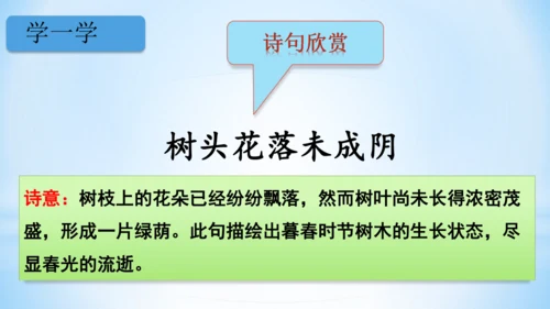 统编版语文四年级下册 第一单元 1古诗词三首 《宿新市徐公店》(教学课件)