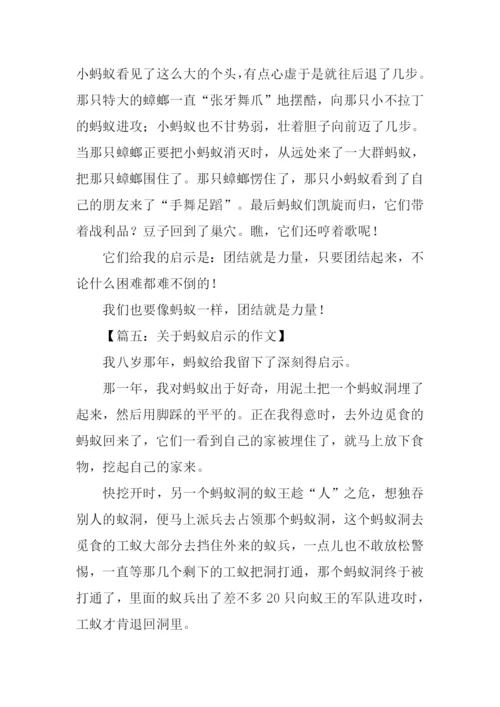 关于蚂蚁启示的作文.docx