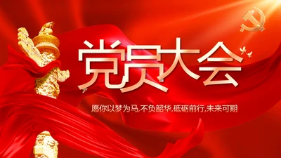 党支部党员大会工作总结汇报计划动态PPT
