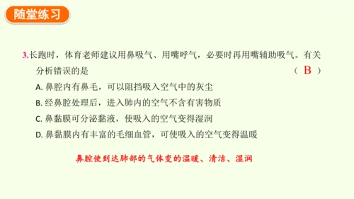 4.3.1 呼吸道对空气的处理-七年级生物下学期同步精品课件（2024人教版）(共26张PPT)