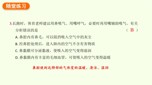 4.3.1 呼吸道对空气的处理-七年级生物下学期同步精品课件（2024人教版）(共26张PPT)