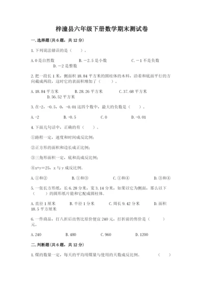 梓潼县六年级下册数学期末测试卷及参考答案1套.docx