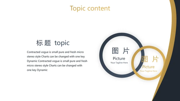 简约高档尊贵银行工作总结动态PPT模板