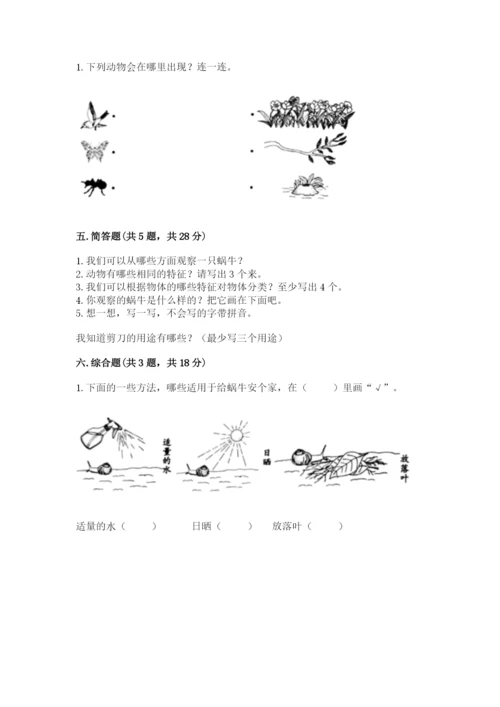 教科版一年级下册科学期末测试卷【b卷】.docx