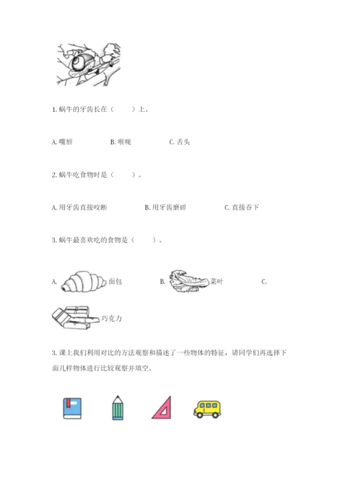 教科版一年级下册科学期末测试卷【模拟题】.docx