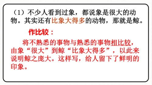 统编版语文五年级上册第五单元 习作例文《鲸》《风向袋的制作》 课件