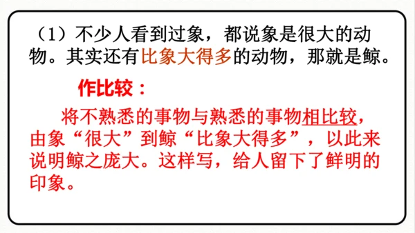 统编版语文五年级上册第五单元 习作例文《鲸》《风向袋的制作》 课件