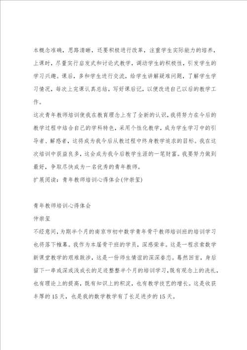 青年教师培训心得体会仲崇玺