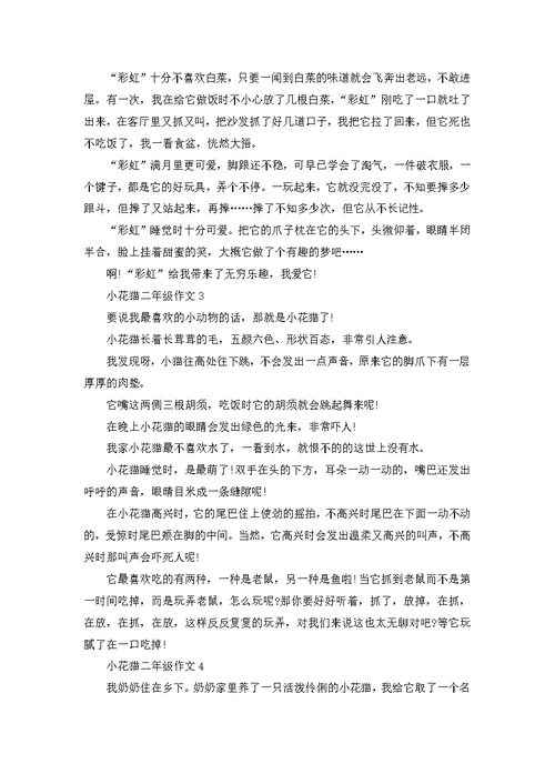 小花猫小学二年级作文400字