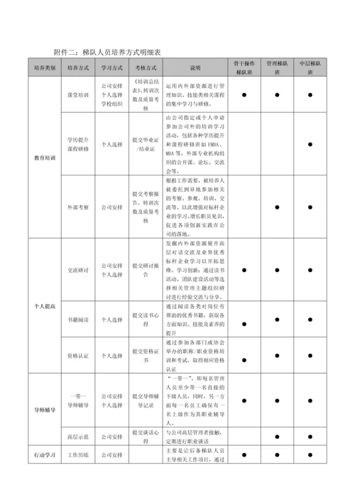 XX公司的人才梯队建设储备方案.docx