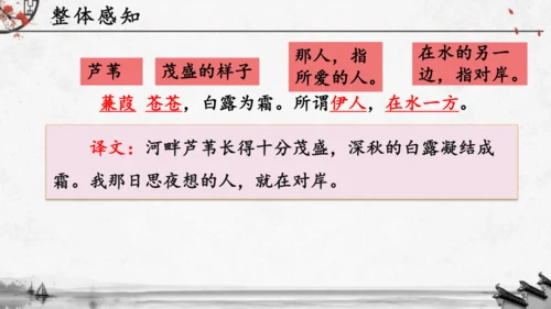12《诗经》二首《蒹葭》课件(共19张PPT)