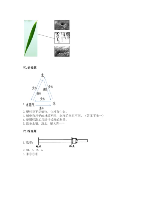 教科版一年级上册科学期末测试卷附答案（培优b卷）.docx