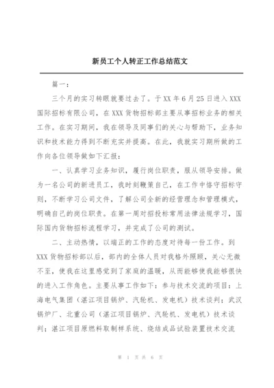 新员工个人转正工作总结范文.docx