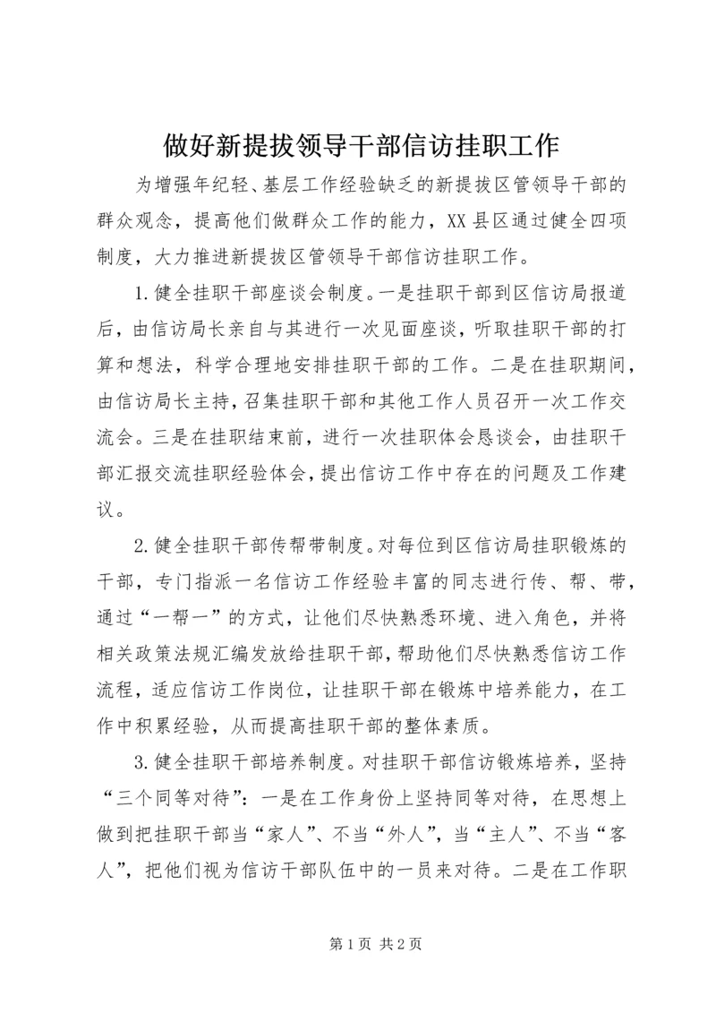 做好新提拔领导干部信访挂职工作.docx