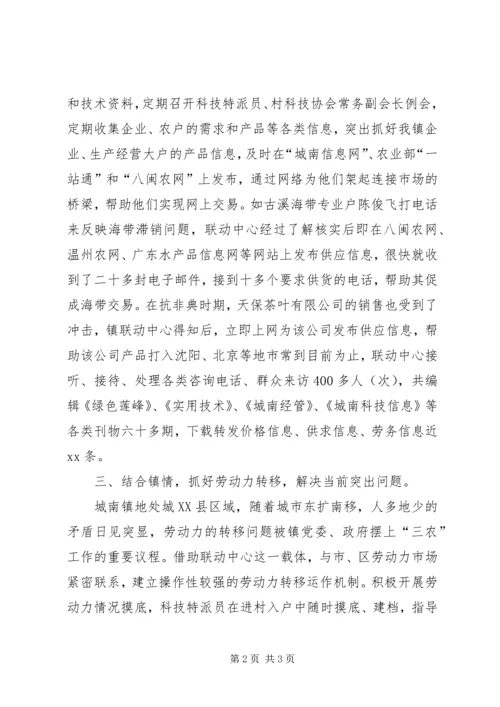 城南镇农村社会服务联动网建设情况汇报_1.docx