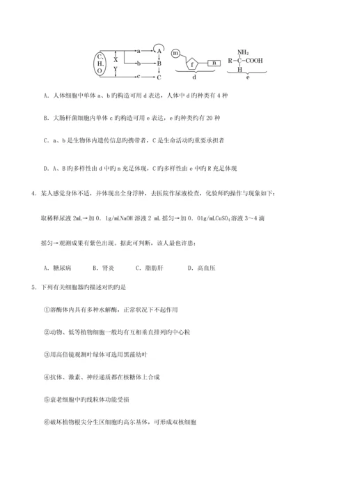2023年全国中学生生物学竞赛湖南省初赛试题.docx