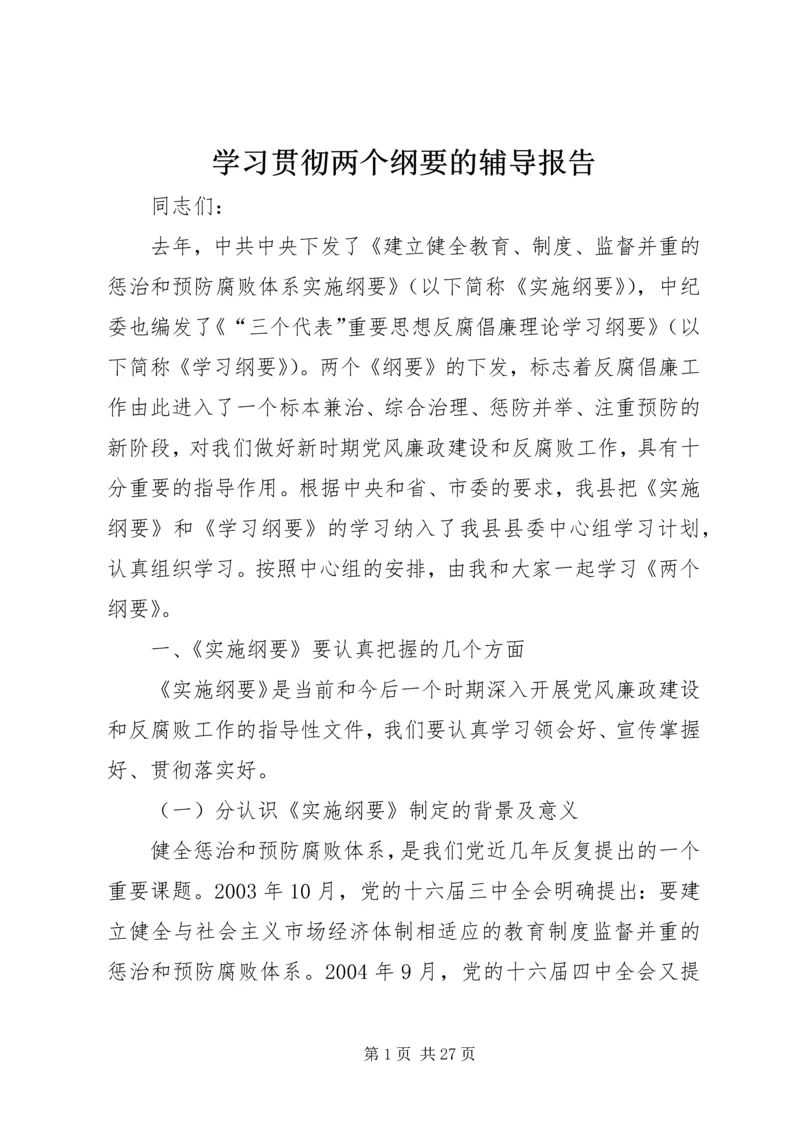 学习贯彻两个纲要的辅导报告.docx