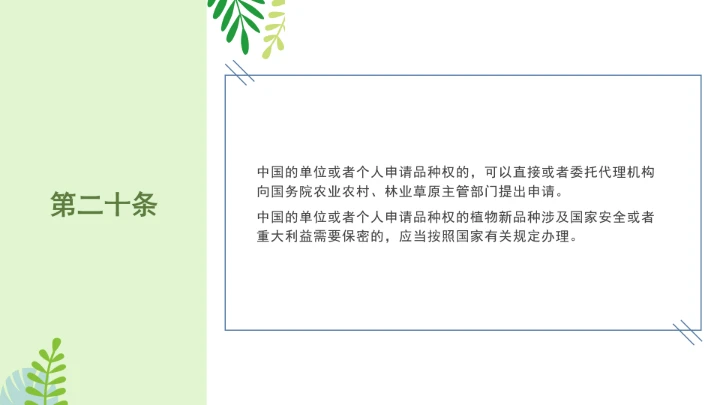 普法全文学习2025年4月新修订《中华人民共和国植物新品种保护条例》PPT课件