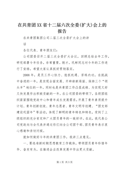 在共青团XX省十二届六次全委(扩大)会上的报告 (2).docx