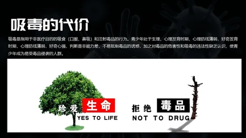 远离违禁品禁毒宣传通用PPT模板