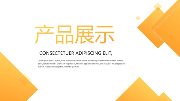 橙色时尚大气创意公司产品介绍宣传通用PPT
