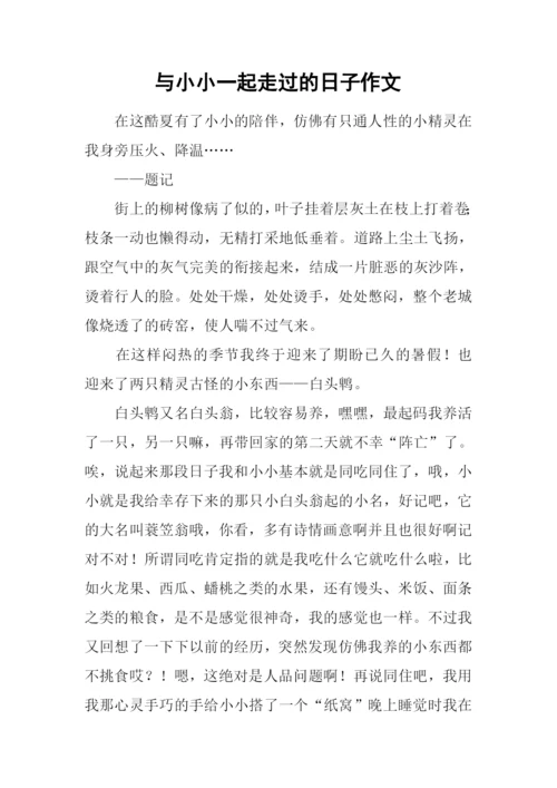 与小小一起走过的日子作文.docx