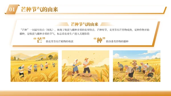 黄色插画风芒种节气农作物种植与病虫害防治PPT模板