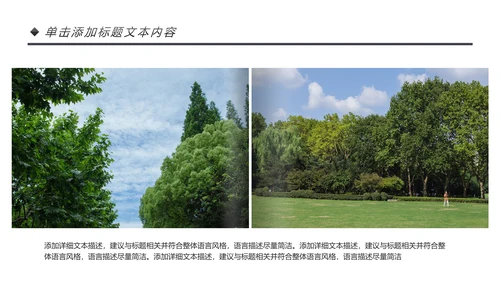 绿色清新森林环保宣传低碳日主题班会PPT模板